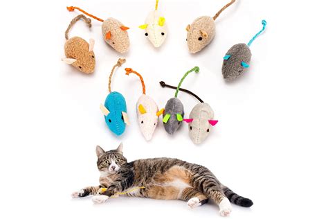 Captivate Your Cat with the Best Magic Toys on the Market